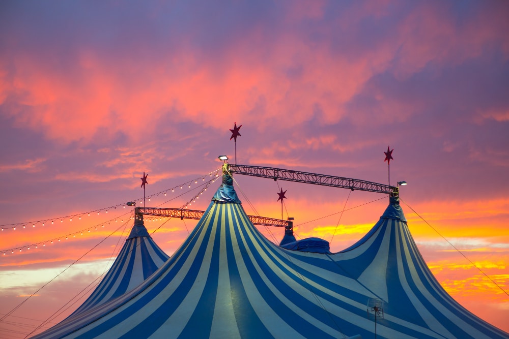 Cirque De Soleil Shows Las Vegas